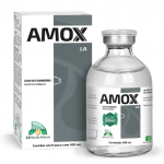 AMOX J.A. 100ML