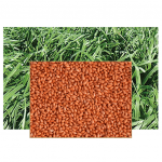 * PANICUM MAXIMUM CV ARUANA PREMIUM 10KG