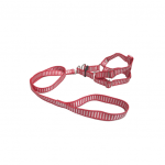 GUIA PEITORAL TRACAO NYLON CAO N°1 M